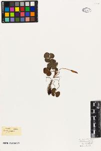 SW_BNB_s3010-09370_IMG-0000000001