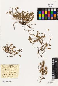 SW_BNB_s3010-09371_IMG-0000000001