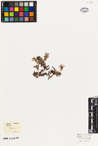 SW_BNB_s3010-09374_IMG-0000000001