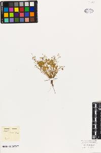 SW_BNB_s3010-09375_IMG-0000000001