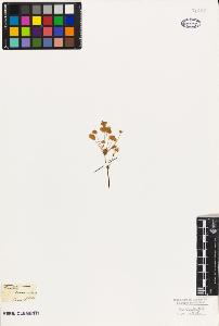 SW_BNB_s3010-09377_IMG-0000000001