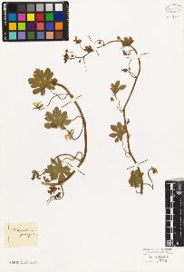 SW_BNB_s3010-09379_IMG-0000000001