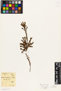 SW_BNB_s3010-09380_IMG-0000000001