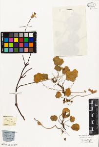 SW_BNB_s3010-09381_IMG-0000000001