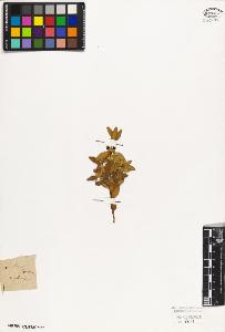 SW_BNB_s3010-09382_IMG-0000000001