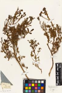 SW_BNB_s3010-09383_IMG-0000000001