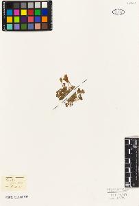 SW_BNB_s3010-09385_IMG-0000000001