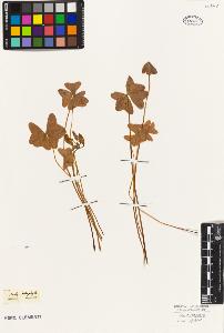 SW_BNB_s3010-09386_IMG-0000000001