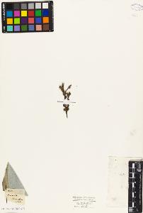 SW_BNB_s3010-09387_IMG-0000000001