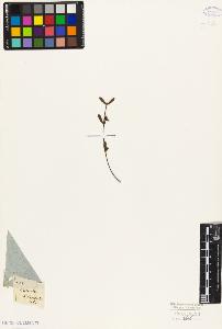 SW_BNB_s3010-09388_IMG-0000000001