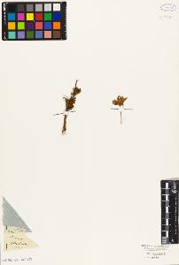 SW_BNB_s3010-09389_IMG-0000000001