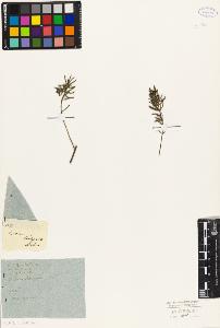 SW_BNB_s3010-09390_IMG-0000000001