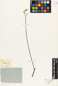 SW_BNB_s3010-09393_IMG-0000000001