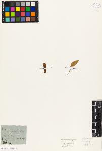 SW_BNB_s3010-09394_IMG-0000000001