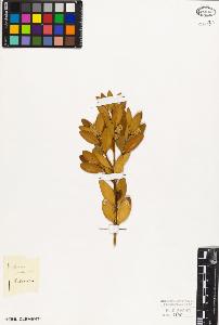 SW_BNB_s3010-09397_IMG-0000000001