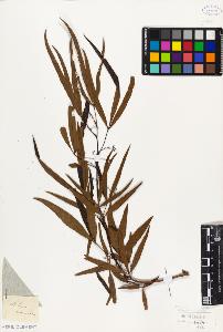 SW_BNB_s3010-09398_IMG-0000000001