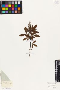 SW_BNB_s3010-09399_IMG-0000000001