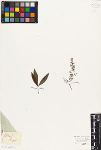 SW_BNB_s3010-09400_IMG-0000000001