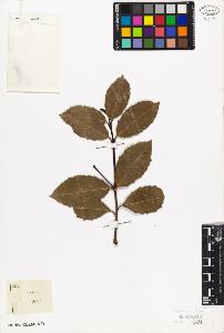 SW_BNB_s3010-09401_IMG-0000000001