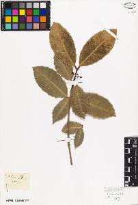 SW_BNB_s3010-09402_IMG-0000000001