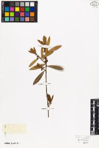 SW_BNB_s3010-09403_IMG-0000000001