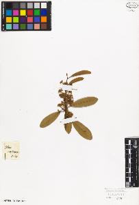 SW_BNB_s3010-09404_IMG-0000000001