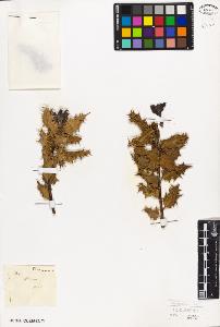 SW_BNB_s3010-09405_IMG-0000000001