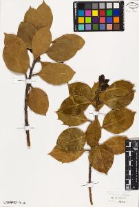 SW_BNB_s3010-09408_IMG-0000000001