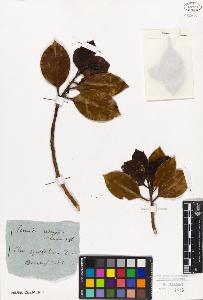 SW_BNB_s3010-09410_IMG-0000000001