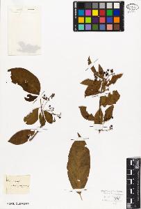 SW_BNB_s3010-09412_IMG-0000000001