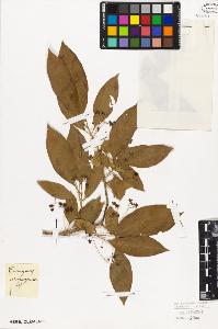 SW_BNB_s3010-09413_IMG-0000000001