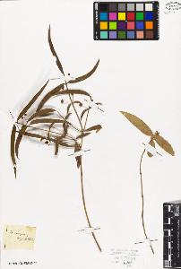 SW_BNB_s3010-09414_IMG-0000000001