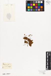 SW_BNB_s3010-09416_IMG-0000000001