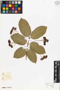 SW_BNB_s3010-09417_IMG-0000000001