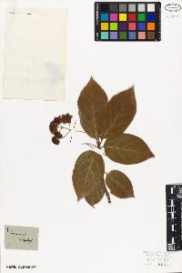 SW_BNB_s3010-09418_IMG-0000000001