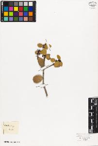 SW_BNB_s3010-09420_IMG-0000000001