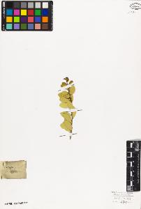 SW_BNB_s3010-09421_IMG-0000000001