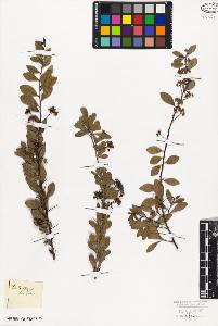 SW_BNB_s3010-09422_IMG-0000000001