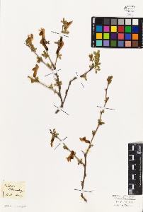 SW_BNB_s3010-09423_IMG-0000000001