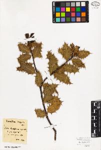 SW_BNB_s3010-09424_IMG-0000000001