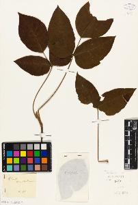 SW_BNB_s3010-09425_IMG-0000000001