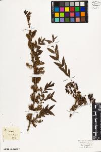 SW_BNB_s3010-09426_IMG-0000000001