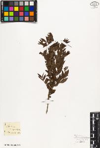 SW_BNB_s3010-09427_IMG-0000000001