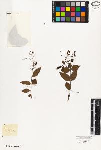 SW_BNB_s3010-09428_IMG-0000000001