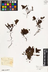 SW_BNB_s3010-09429_IMG-0000000001