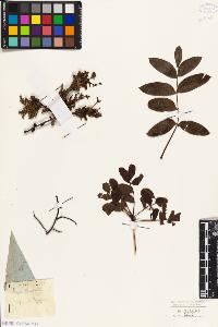 SW_BNB_s3010-09430_IMG-0000000001