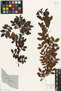 SW_BNB_s3010-09431_IMG-0000000001