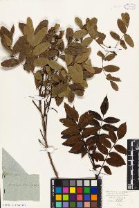 SW_BNB_s3010-09432_IMG-0000000001