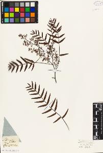 SW_BNB_s3010-09433_IMG-0000000001