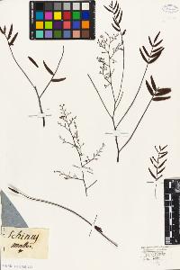 SW_BNB_s3010-09434_IMG-0000000001